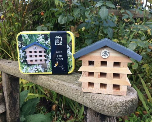 Build a Bee Hotel - Gift in a Tin